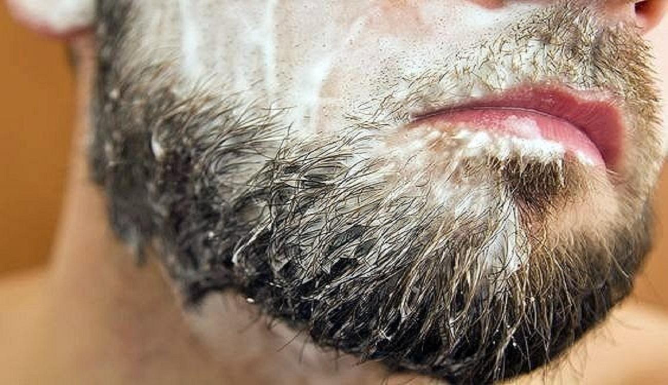 Кот чешет бороду причины лечение чем обрабатывать