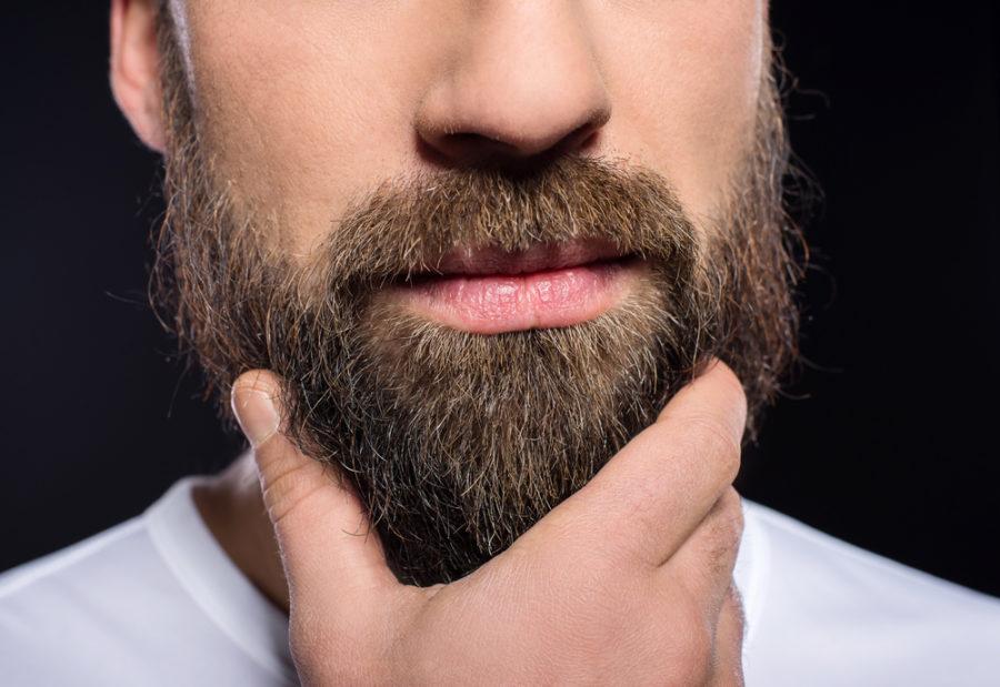 Борода у мужчины