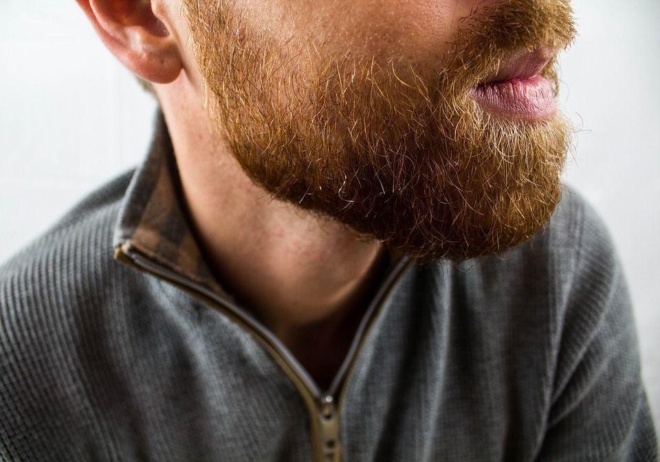 почему у мужчин растет борода
